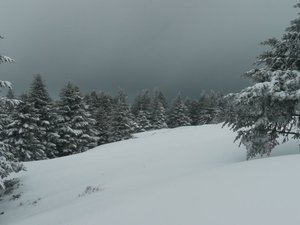 Génuflexions au Capucin