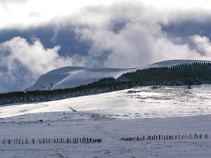 Puy de Combe Perret et lac de Serviere