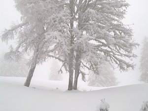 Cret du Poulet par pistes (fermées)