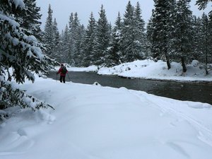 Du Pla de Barrès aux Bouillouses : la vallée de la Têt