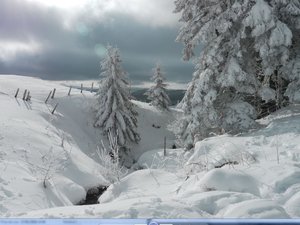 Aller retour Puy de l'Aiguiller