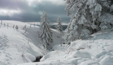 Aller retour Puy de l'Aiguiller