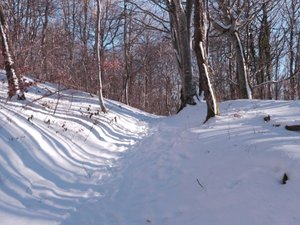 Puy de la Nugère