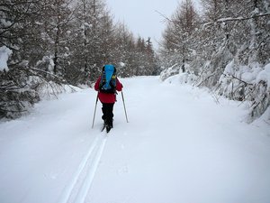 Sougeat-la-Souze : boucle du lac Chauvet