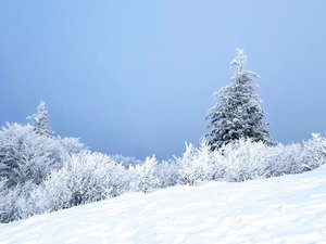 Puy des Goules