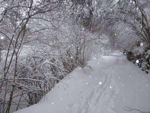 Col de l'Homme mort