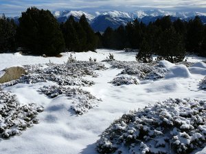 La Calme - Pic dels Moros (Font-Romeu)