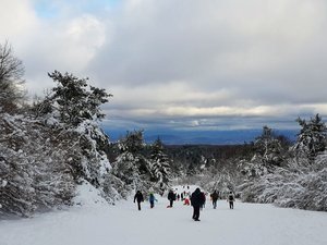 Le Puy Suchet