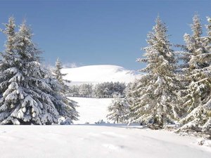 Guéry Puy de Chantauzet