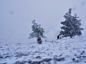 Puy de Pariou  AR, ski sylvestre