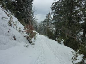 la coche - Vercors