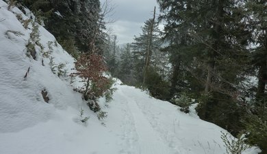 la coche - Vercors